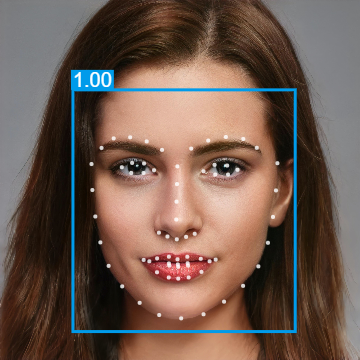 Facial Landmark Detection